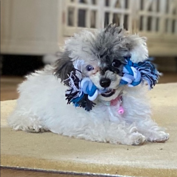 Welcome To My Family’s Closet - Picture 2 of 3